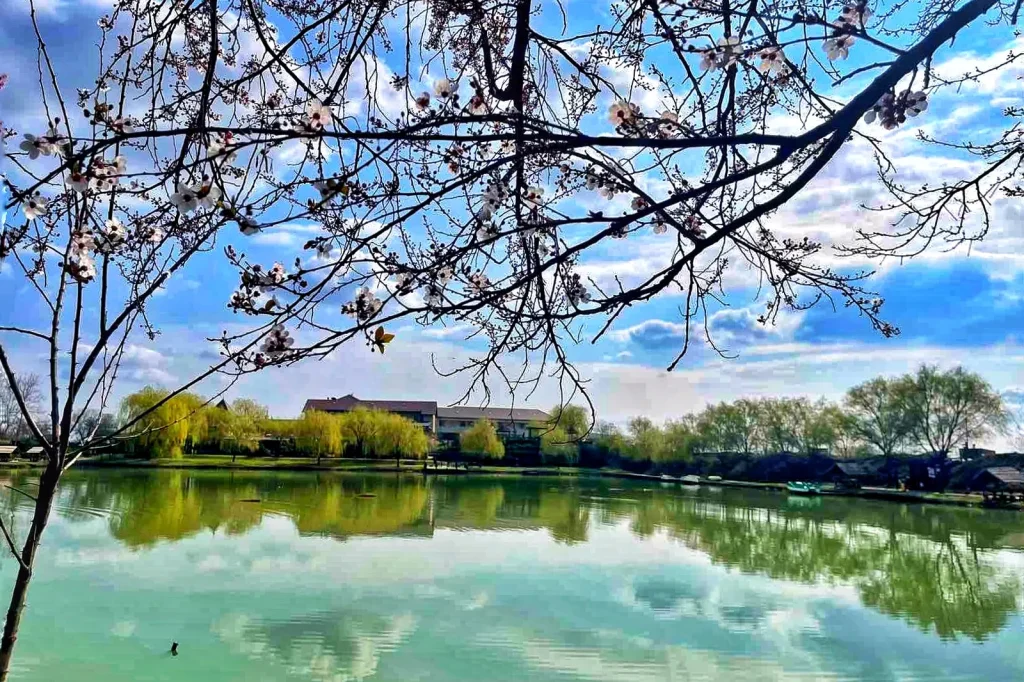 Nádas Pihenőpark - Ez az év is izgalmas lesz a Nádas Pihenőpark és a Nádas Tó Park Hotel életében